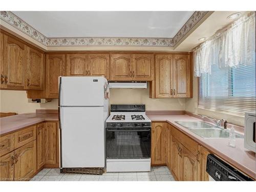 38 Dubarry Boulevard, Hamilton, ON - Indoor Photo Showing Kitchen With Double Sink