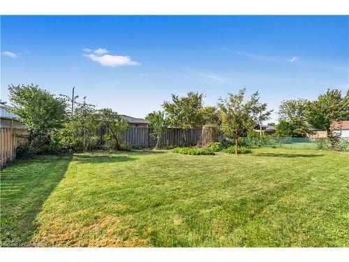 413 Murray Street, Grimsby, ON - Outdoor With Backyard