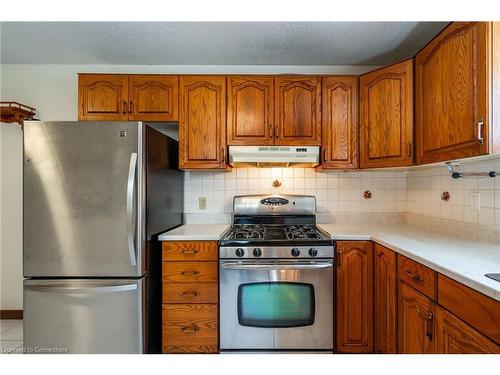 Lower-7 Fox Run, Brantford, ON - Indoor Photo Showing Kitchen