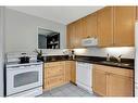 232 San Francisco Avenue, Hamilton, ON  - Indoor Photo Showing Kitchen With Double Sink 