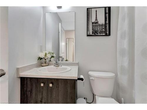 41 Radison Lane, Hamilton, ON - Indoor Photo Showing Bathroom