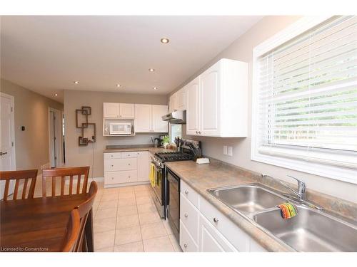 42 Seneca Street Street, Cayuga, ON - Indoor Photo Showing Kitchen With Double Sink