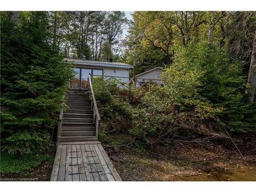 325 Balsam Chutes Road, Port Sydney, ON - Outdoor