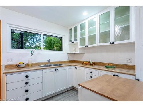 66 Purvis Drive, Hamilton, ON - Indoor Photo Showing Kitchen With Double Sink