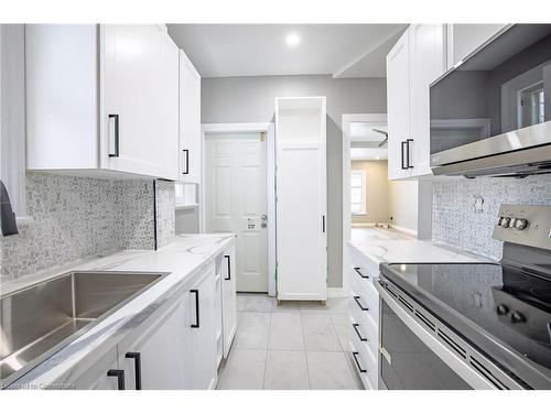 491 Colborne Street, Brantford, ON - Indoor Photo Showing Kitchen With Upgraded Kitchen