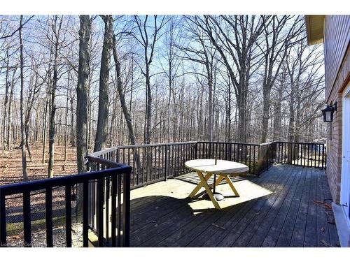 59 Holimont Court, Hamilton, ON - Outdoor With Deck Patio Veranda