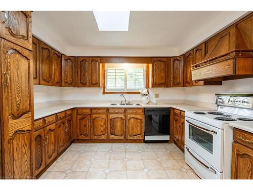 10 Dorothy Street, Hamilton, ON - Indoor Photo Showing Kitchen With Double Sink