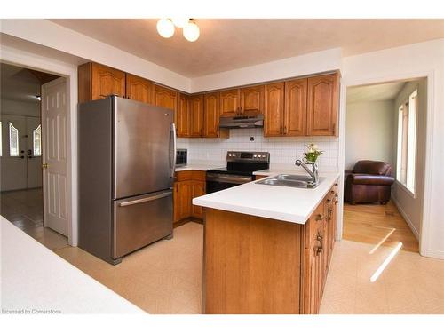 244 Michener Crescent, Kitchener, ON - Indoor Photo Showing Kitchen With Double Sink