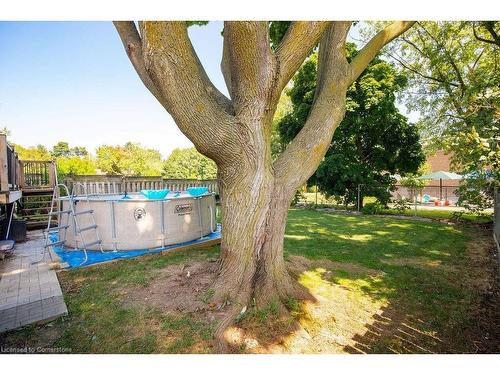 1431 Lewisham Drive, Mississauga, ON - Outdoor With Above Ground Pool