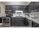 202-159 Lake Street, St. Catharines, ON  - Indoor Photo Showing Kitchen With Stainless Steel Kitchen 