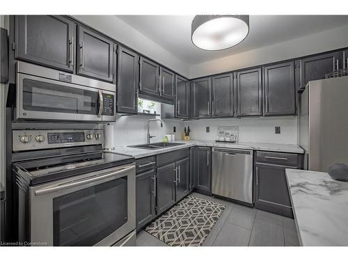 202-159 Lake Street, St. Catharines, ON - Indoor Photo Showing Kitchen With Double Sink