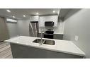 101-700 Lawrence Road, Hamilton, ON  - Indoor Photo Showing Kitchen With Stainless Steel Kitchen With Double Sink With Upgraded Kitchen 