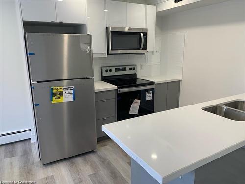 101-700 Lawrence Road, Hamilton, ON - Indoor Photo Showing Kitchen With Stainless Steel Kitchen With Double Sink