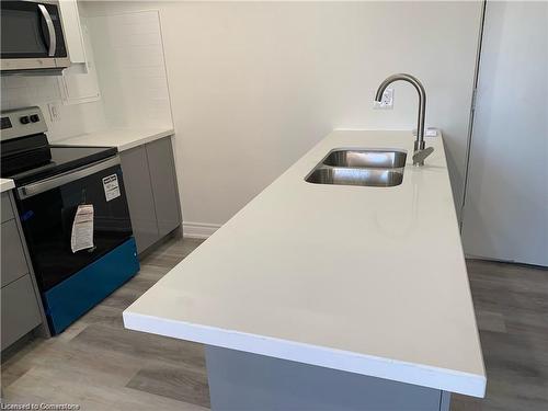 101-700 Lawrence Road, Hamilton, ON - Indoor Photo Showing Kitchen With Stainless Steel Kitchen With Double Sink