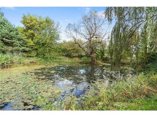 247 Highway 5, St. George, ON - Outdoor With View