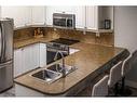 24 Liberty Street, Hamilton, ON  - Indoor Photo Showing Kitchen With Double Sink 