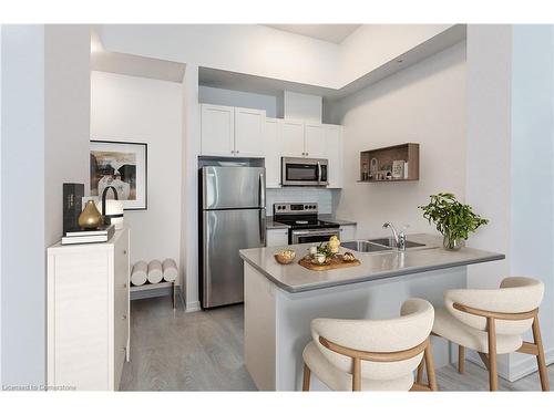 103-81 Robinson Street, Hamilton, ON - Indoor Photo Showing Kitchen With Double Sink