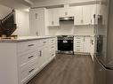 Upper-24 Oakdale Avenue, St. Catharines, ON  - Indoor Photo Showing Kitchen 