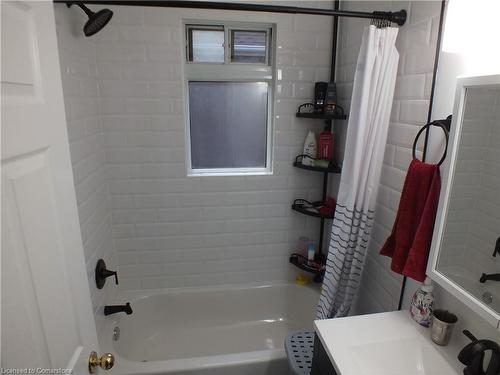 101 Albany Avenue, Hamilton, ON - Indoor Photo Showing Bathroom