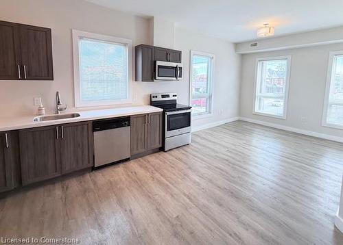 202-161 Wellington Street N, Hamilton, ON - Indoor Photo Showing Kitchen