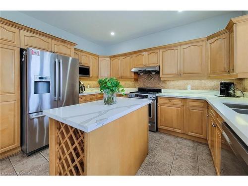 56 Bosworth Street, Hamilton, ON - Indoor Photo Showing Kitchen With Stainless Steel Kitchen