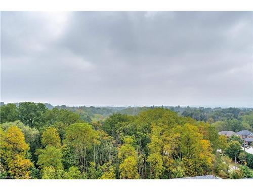 108-30 Hamilton Street S, Waterdown, ON - Outdoor With View