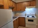 306-62 Victoria Avenue S, Hamilton, ON  - Indoor Photo Showing Kitchen With Double Sink 