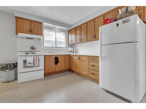 6 Palmerston Place, Hamilton, ON - Indoor Photo Showing Kitchen With Double Sink