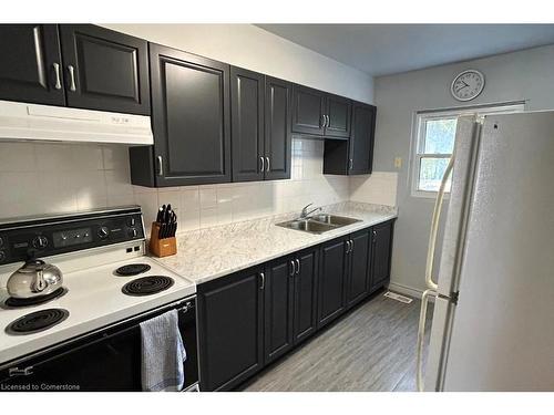 B-509 Weber Street N, Waterloo, ON - Indoor Photo Showing Kitchen With Double Sink