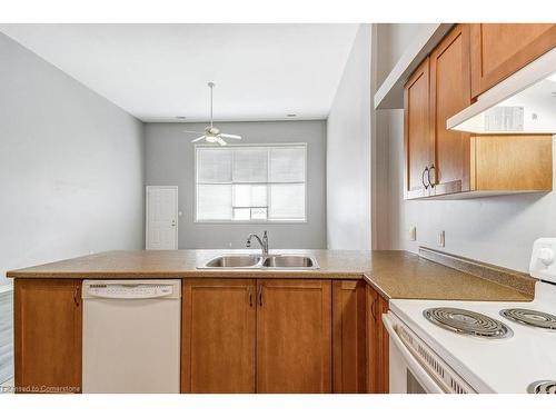 214-111 Grey Street, Brantford, ON - Indoor Photo Showing Kitchen With Double Sink