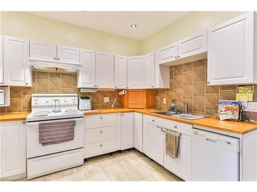 16 William Street, Hamilton, ON - Indoor Photo Showing Kitchen With Double Sink