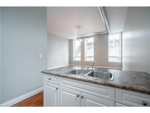 208-76 Dalhousie Street, Brantford, ON - Indoor Photo Showing Kitchen With Double Sink