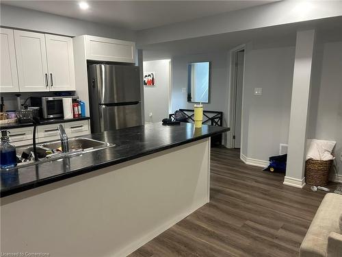 Basement-203 Classic Avenue, Welland, ON - Indoor Photo Showing Kitchen With Double Sink