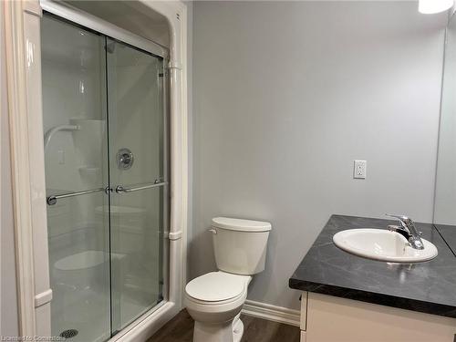 Basement-203 Classic Avenue, Welland, ON - Indoor Photo Showing Bathroom