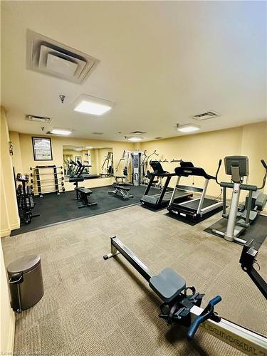 703-399 Elizabeth Street, Burlington, ON - Indoor Photo Showing Gym Room