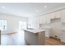 11 Raspberry Lane, Mount Hope, ON  - Indoor Photo Showing Kitchen With Double Sink 