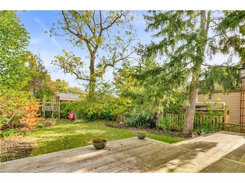 365 Delaware Avenue, Burlington, ON - Outdoor With Backyard