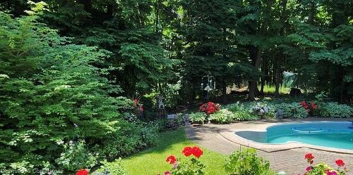 10 Jerome Park Drive, Dundas, ON - Outdoor With In Ground Pool