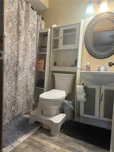 24 Woodhouse Avenue, Port Dover, ON - Indoor Photo Showing Bathroom