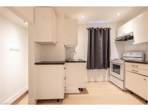 254 Darling Street, Brantford, ON - Indoor Photo Showing Kitchen