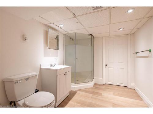 254 Darling Street, Brantford, ON - Indoor Photo Showing Bathroom