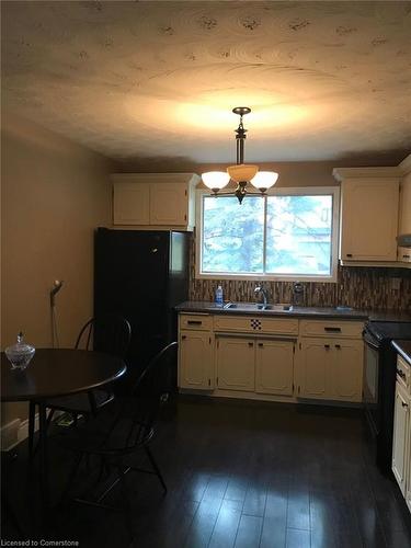 (#Lower Level) 19 Corinthian Drive, Hamilton, ON - Indoor Photo Showing Kitchen With Double Sink