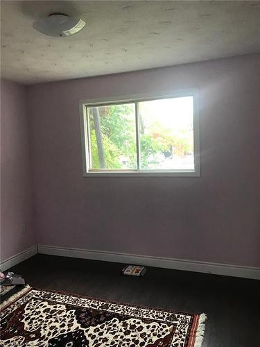 (#Lower Level) 19 Corinthian Drive, Hamilton, ON - Indoor Photo Showing Bedroom