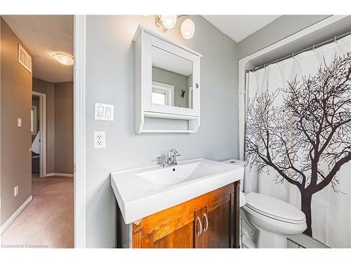 70 Hollybush Drive, Waterdown, ON - Indoor Photo Showing Bathroom