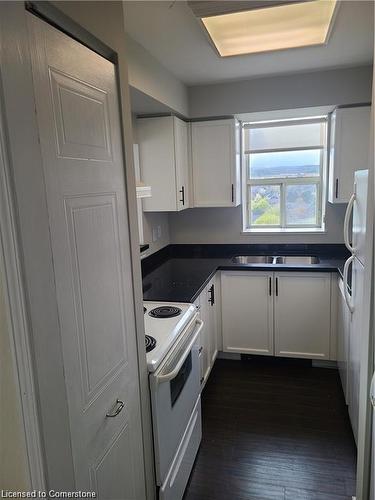 914-1270 Maple Crossing Boulevard, Burlington, ON - Indoor Photo Showing Kitchen With Double Sink