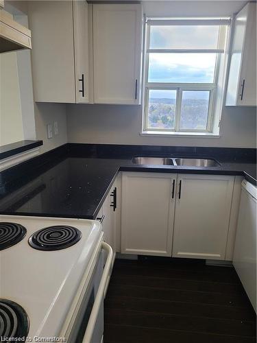 914-1270 Maple Crossing Boulevard, Burlington, ON - Indoor Photo Showing Kitchen