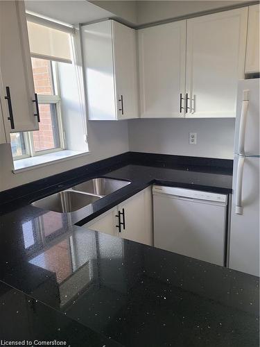 914-1270 Maple Crossing Boulevard, Burlington, ON - Indoor Photo Showing Kitchen With Double Sink