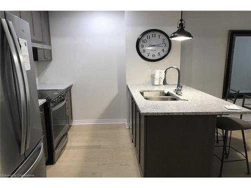 203-12 Blanshard Street Street, Hamilton, ON - Indoor Photo Showing Kitchen With Double Sink