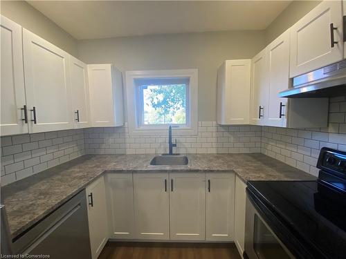 3-29 Marlborough Street, Brantford, ON - Indoor Photo Showing Kitchen