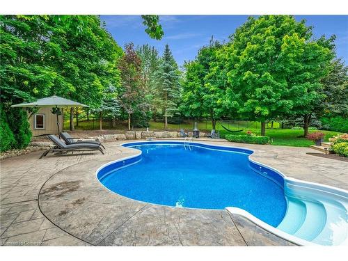 3 Oldenburg Road, Carlisle, ON - Outdoor With In Ground Pool With Backyard